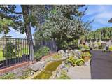 3910 Mirror Pond Way - Photo 42