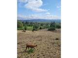  Nicolai Cutoff Rd - Photo 1