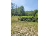  Nicolai Cutoff Rd - Photo 14