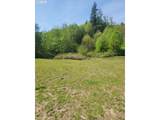  Nicolai Cutoff Rd - Photo 15