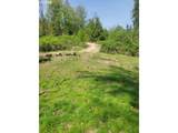  Nicolai Cutoff Rd - Photo 3