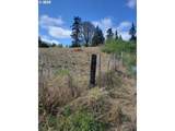  Nicolai Cutoff Rd - Photo 4