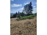  Nicolai Cutoff Rd - Photo 5