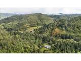 181 Oak Hollow Ln - Photo 25