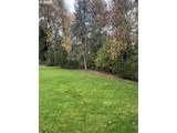 1215 Driftwood Pl - Photo 12