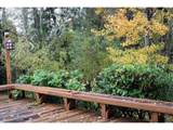 1215 Driftwood Pl - Photo 24