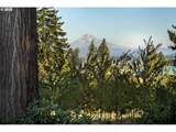29630 Wheeler Rd - Photo 6