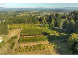29630 Wheeler Rd - Photo 7
