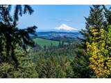  Mountainside Dr - Photo 2