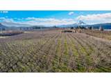 4975 Green Rd - Photo 11