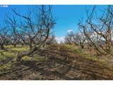 4975 Green Rd - Photo 12