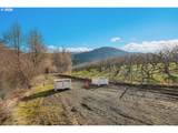 4975 Green Rd - Photo 13