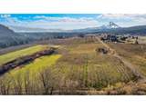 4975 Green Rd - Photo 27