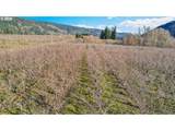 4975 Green Rd - Photo 8