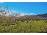 4975 Green Rd - Photo 9