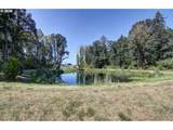 10009 133RD Ave - Photo 38