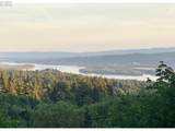 1545 China Garden Rd - Photo 46