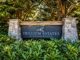 30540 Bell Rd - Photo 4