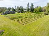 26740 Fish Rd - Photo 43