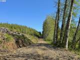 73000 Clatskanie Heights Rd - Photo 2