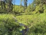 73000 Clatskanie Heights Rd - Photo 4