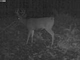 73000 Clatskanie Heights Rd - Photo 5