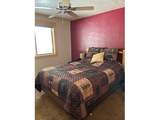 141239 Red Cone Dr - Photo 19