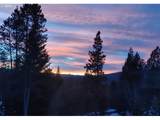141239 Red Cone Dr - Photo 45