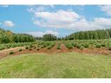 29795 Gruber Rd - Photo 35