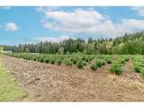 29795 Gruber Rd - Photo 36