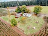 29795 Gruber Rd - Photo 43