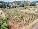29795 Gruber Rd - Photo 44