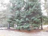 78228 Snowshoe Ln - Photo 7