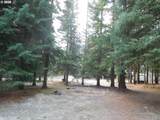 78228 Snowshoe Ln - Photo 8