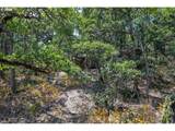2300 Dry Creek Rd - Photo 20