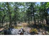 2300 Dry Creek Rd - Photo 23