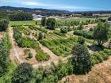 1018 Caples Rd - Photo 10