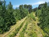 1018 Caples Rd - Photo 16