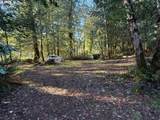  Tiernan Rd - Photo 5