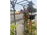 2478 Marion St - Photo 43