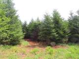  Mill Creek Lane - Photo 4