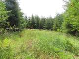  Mill Creek Lane - Photo 6