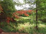  Mill Creek Lane - Photo 7