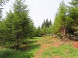  Mill Creek Lane - Photo 8