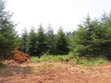  Mill Creek Lane - Photo 9
