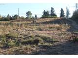 2075 240TH Ave - Photo 29