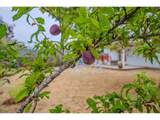 1351 Monroe St - Photo 11