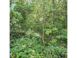 7455 195TH Ave - Photo 13