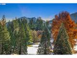 68651 Bowmans Cir - Photo 21
