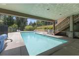 31206 Collins Lake Rd - Photo 42